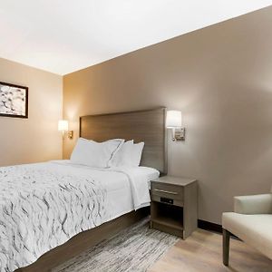Camera standard con letto queen size